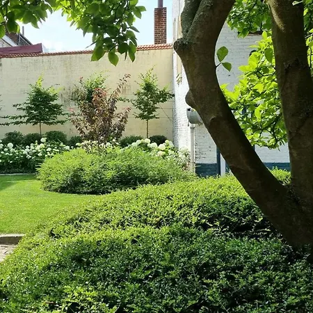 Grande Maison Bourgeoise Avec Cour Privative, 5 Chambres, Wifi, Proche Commerces Et Nature - Fr-1-510-186 *