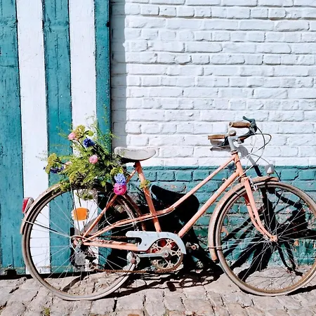 펜션 Grande Maison Bourgeoise Avec Cour Privative, 5 Chambres, Wifi, Proche Commerces Et Nature - Fr-1-510-186 *