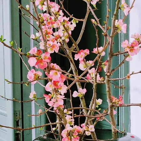 Grande Maison Bourgeoise Avec Cour Privative, 5 Chambres, Wifi, Proche Commerces Et Nature - Fr-1-510-186 펜션 Abscon