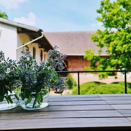 Landhuis Grande Maison Bourgeoise Avec Cour Privative, 5 Chambres, Wifi, Proche Commerces Et Nature - Fr-1-510-186 *