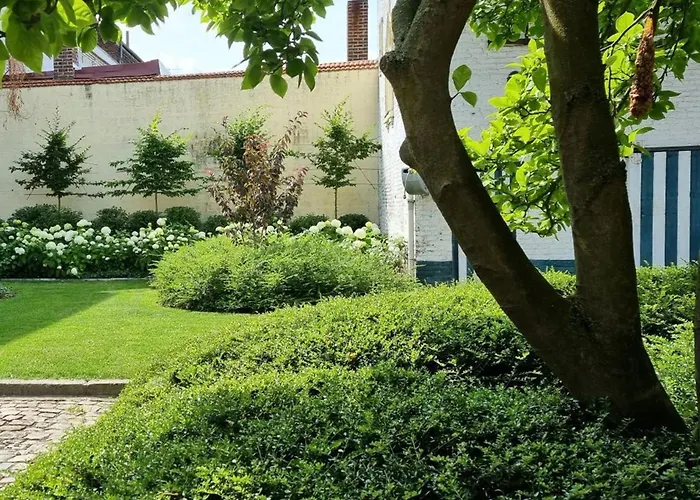 Grande Maison Bourgeoise Avec Cour Privative, 5 Chambres, Wifi, Proche Commerces Et Nature - Fr-1-510-186 *
