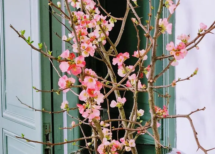 Grande Maison Bourgeoise Avec Cour Privative, 5 Chambres, Wifi, Proche Commerces Et Nature - Fr-1-510-186 בית נופש Abscon